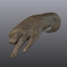 Life Cast of Left Forearm and Hand