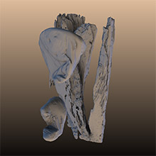 Jamestown Reliquary: Contents