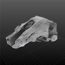 USNM214830