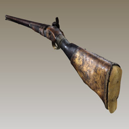 David Livingstone's Gun